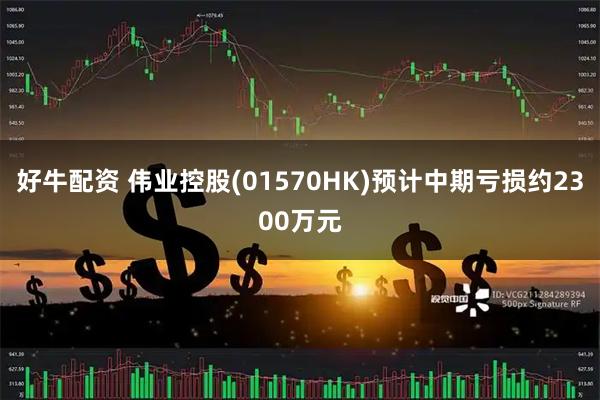 好牛配资 伟业控股(01570HK)预计中期亏损约2300万元