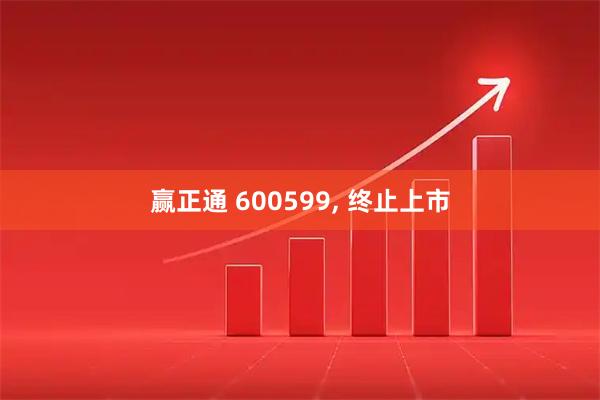 赢正通 600599, 终止上市